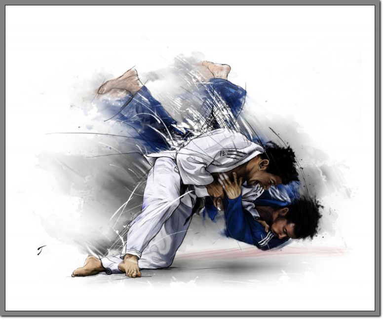 http://www.judo-niederhain.de/